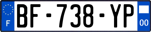 BF-738-YP