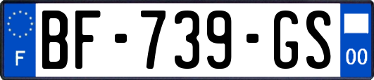 BF-739-GS