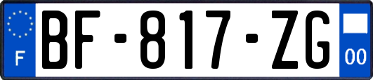 BF-817-ZG