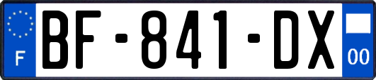 BF-841-DX