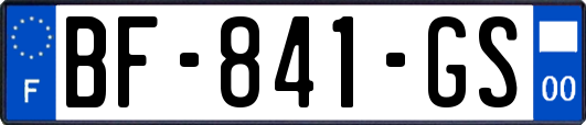 BF-841-GS