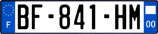 BF-841-HM
