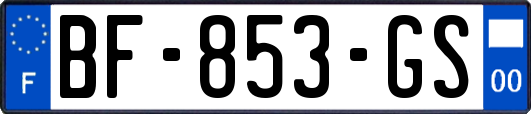 BF-853-GS