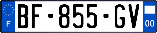 BF-855-GV