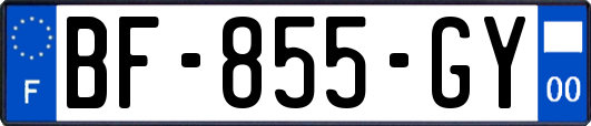 BF-855-GY