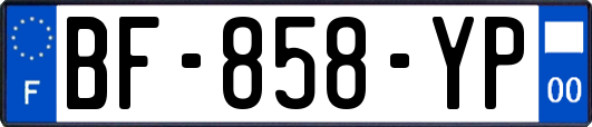 BF-858-YP