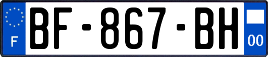 BF-867-BH