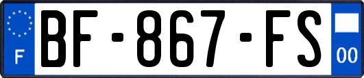 BF-867-FS