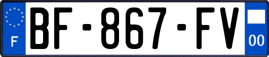 BF-867-FV