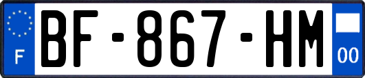 BF-867-HM