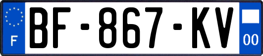 BF-867-KV