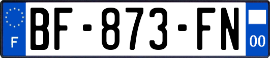 BF-873-FN
