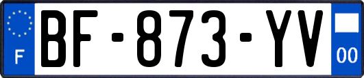 BF-873-YV