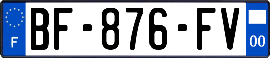 BF-876-FV