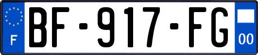 BF-917-FG