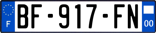 BF-917-FN