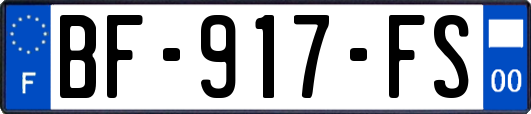 BF-917-FS