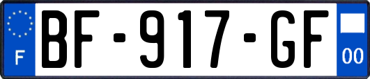 BF-917-GF