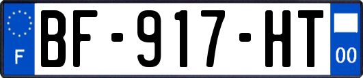 BF-917-HT