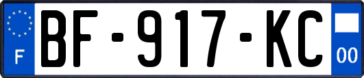 BF-917-KC