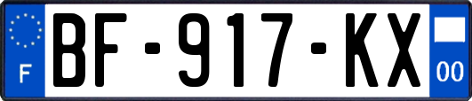 BF-917-KX