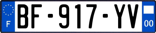 BF-917-YV