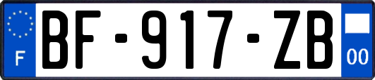 BF-917-ZB