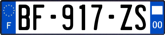 BF-917-ZS