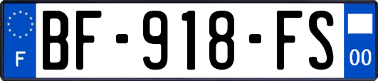 BF-918-FS