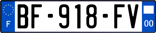 BF-918-FV