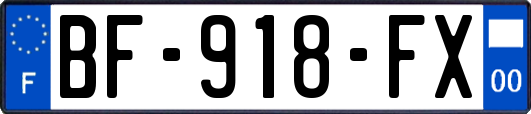 BF-918-FX