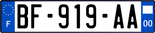 BF-919-AA