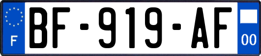 BF-919-AF