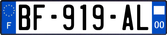 BF-919-AL