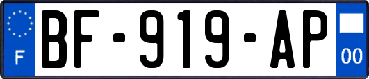 BF-919-AP