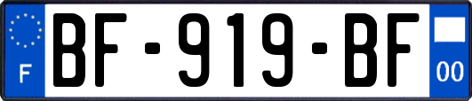 BF-919-BF