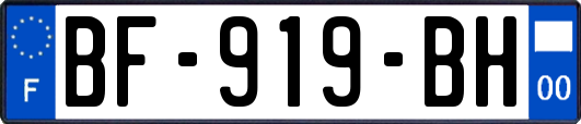 BF-919-BH