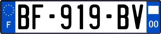 BF-919-BV