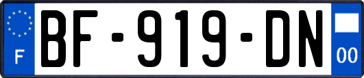 BF-919-DN