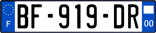 BF-919-DR