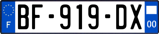 BF-919-DX