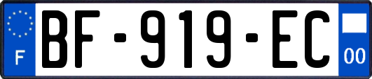 BF-919-EC