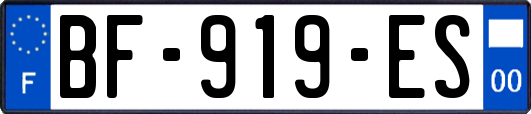 BF-919-ES