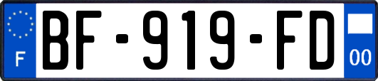 BF-919-FD