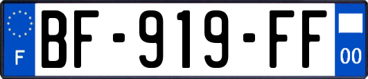 BF-919-FF