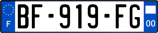 BF-919-FG