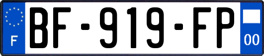BF-919-FP
