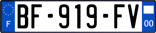 BF-919-FV