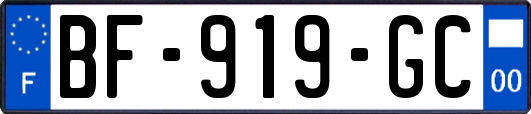 BF-919-GC