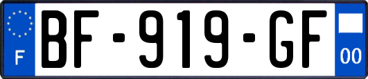 BF-919-GF